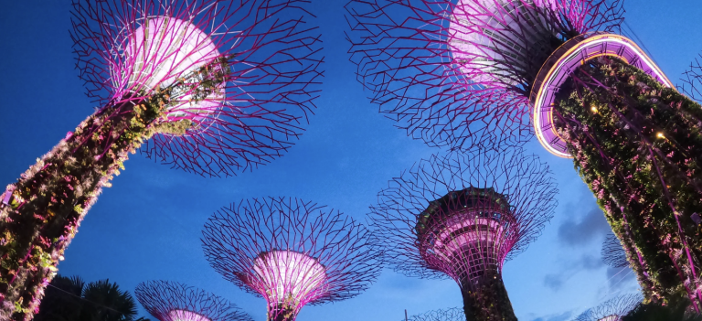 five reasons to move to singapore article cover