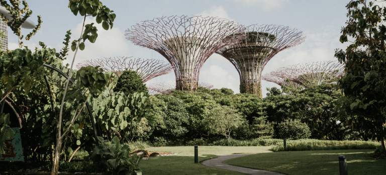 places in singapore to celebrate valentine day