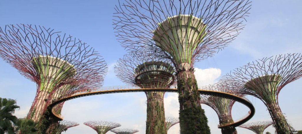 exciting facts about singapore