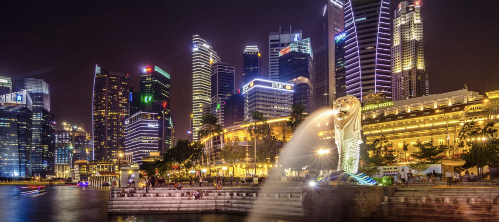 what are the types of singapore visas